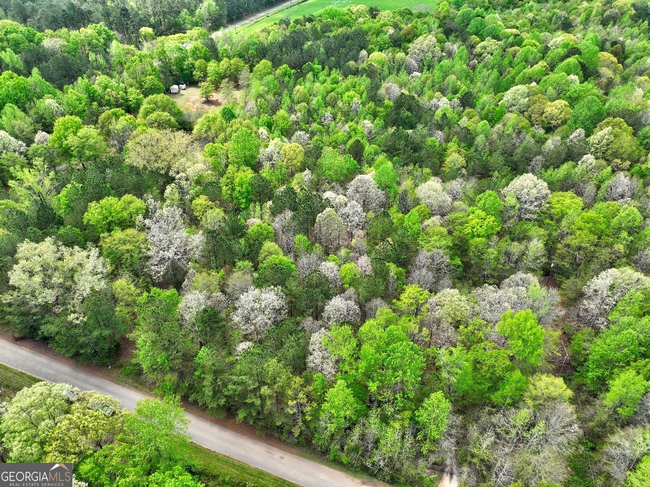 Lot 18 Shady Farms Road Monticello, GA 31064 - Photo 11 of 17 a view of a lush green forest