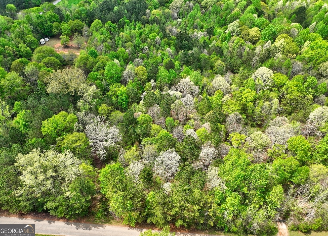 Lot 18 Shady Farms Road Monticello, GA 31064 - Photo 12 of 17 a view of a lush green forest