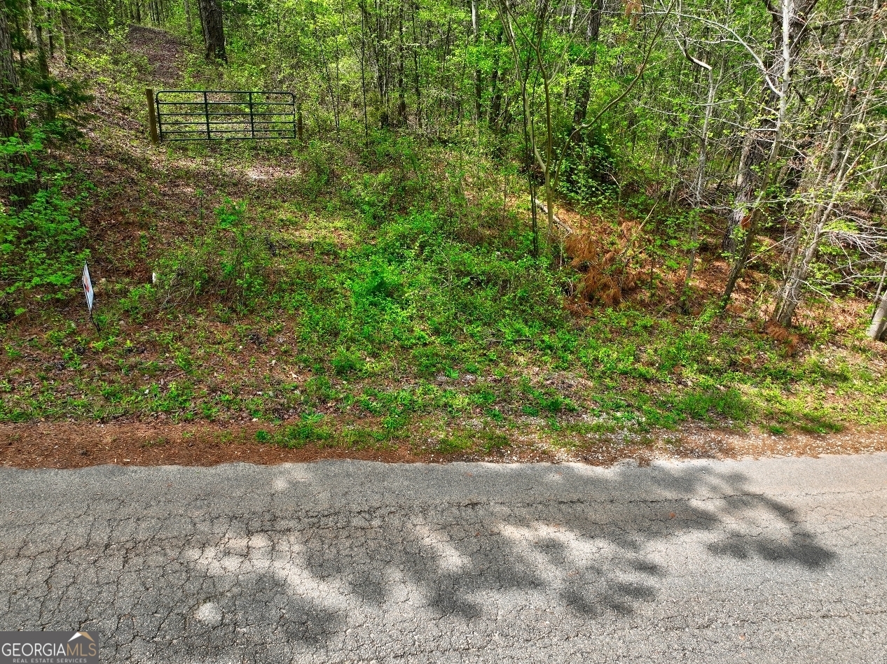 Lot 18 Shady Farms Road Monticello, GA 31064 - Photo 15 of 17 a view of a yard with plants and a wall of the house