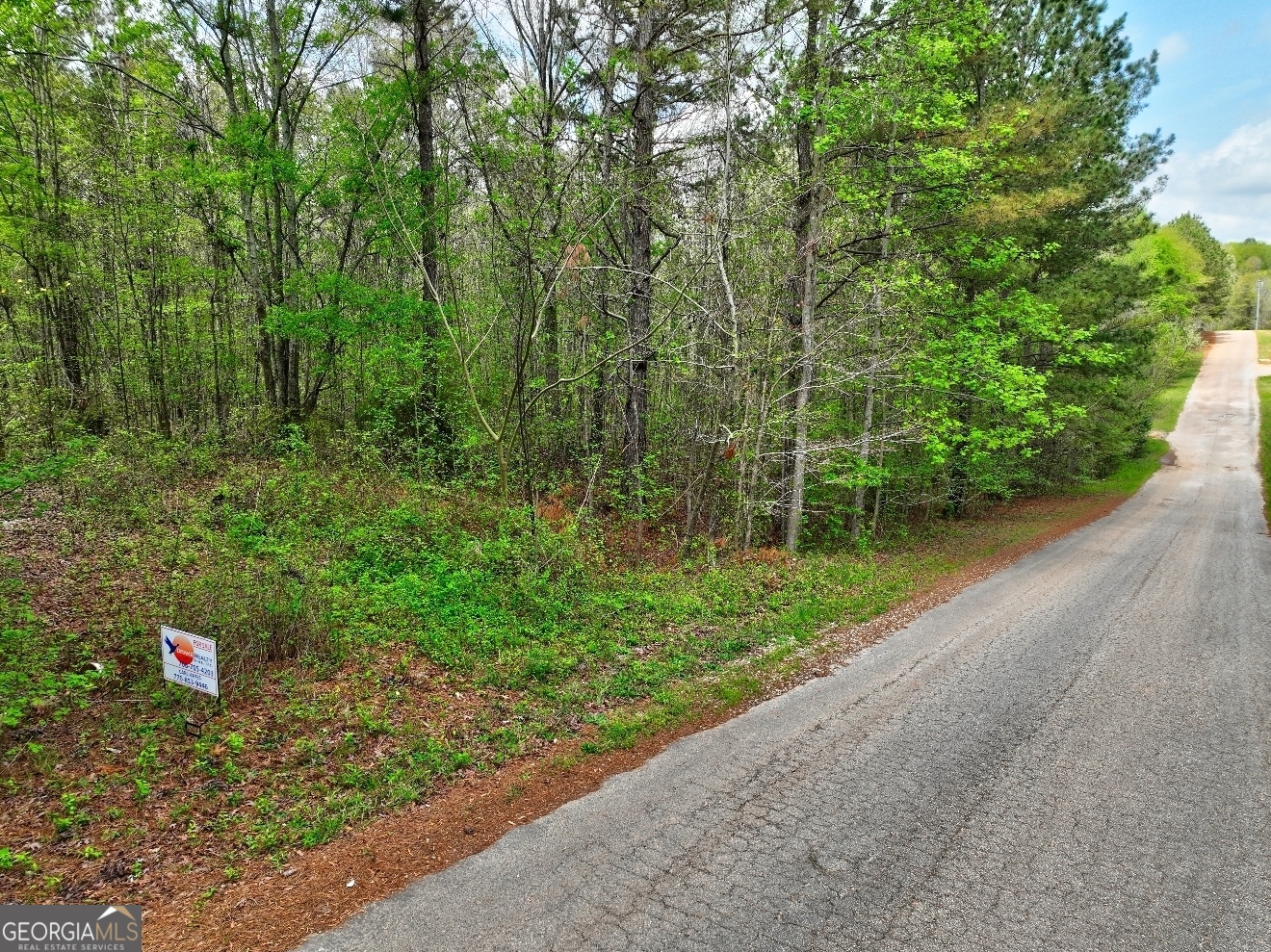 Lot 18 Shady Farms Road Monticello, GA 31064 - Photo 17 of 17 a backyard of a house with lots of green space and trees