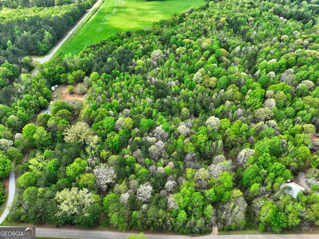 Lot 18 Shady Farms Road Monticello, GA 31064 - Photo 2 of 17 a view of a large yard with lots of green space