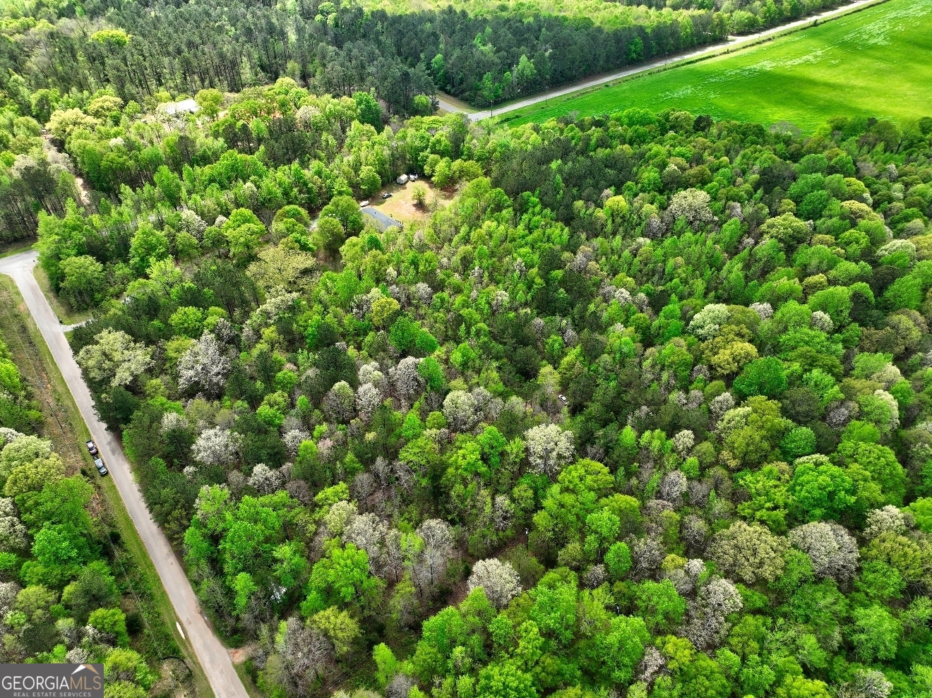 Lot 18 Shady Farms Road Monticello, GA 31064 - Photo 3 of 17 a view of a lush green forest