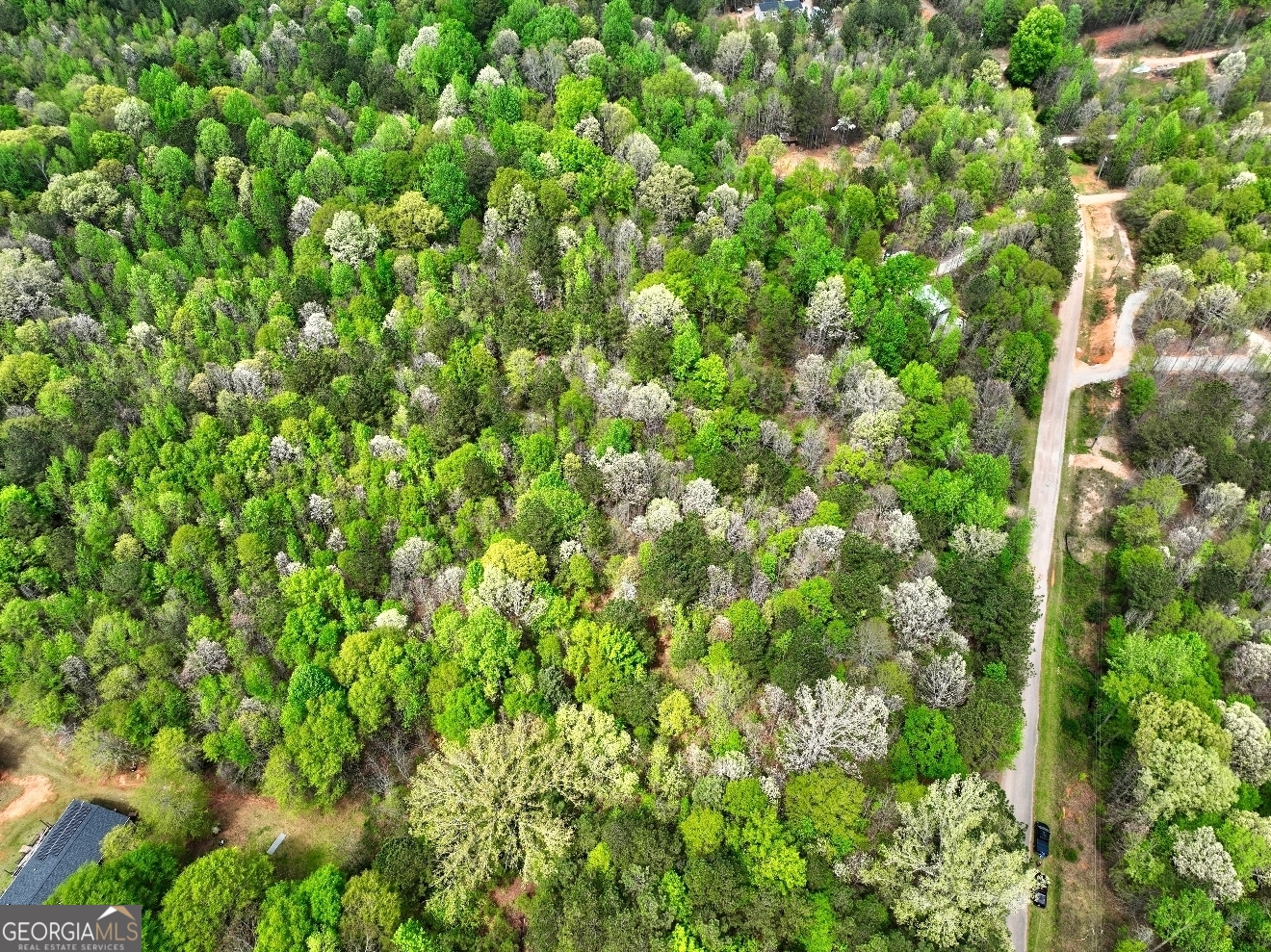 Lot 18 Shady Farms Road Monticello, GA 31064 - Photo 6 of 17 a view of a lush green forest