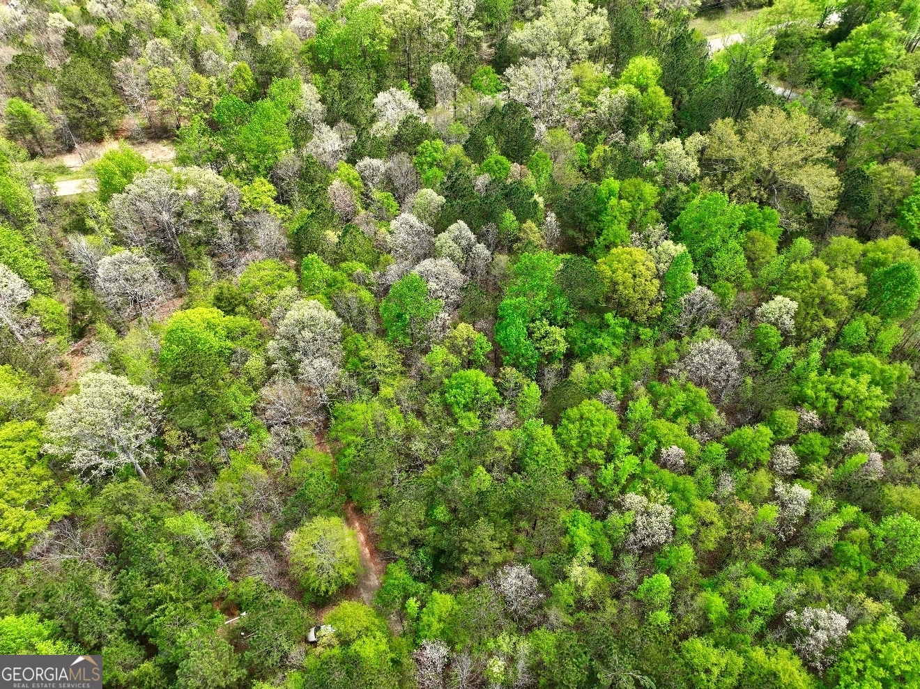 Lot 18 Shady Farms Road Monticello, GA 31064 - Photo 10 of 17 a view of a lush green forest