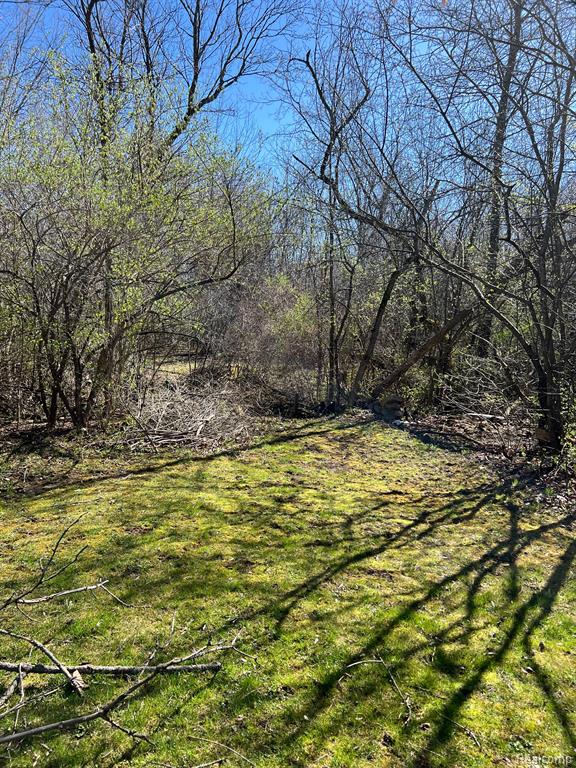 5456 Elms Road Flushing, MI 48433 - Photo 12 of 63