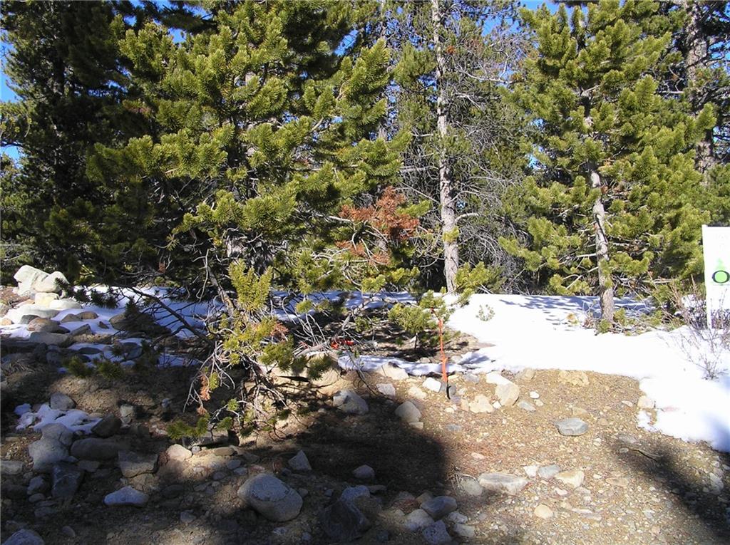 1771 Venture Road Fairplay, CO 80440 - Photo 2 of 5 Gallery Image 2