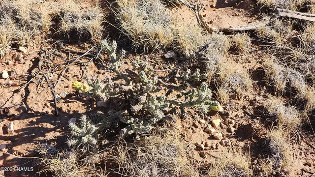 $35,000 | 3433 Red Butte Road, Williams, AZ 86046