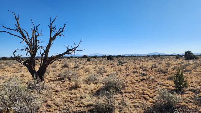 $35,000 | 3433 Red Butte Road, Williams, AZ 86046