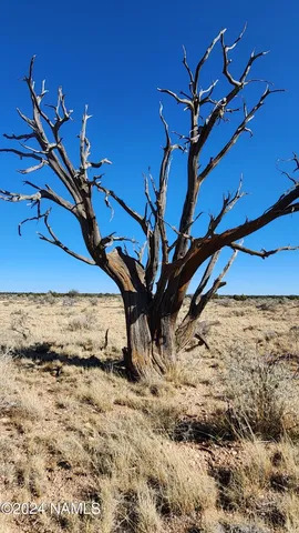 $35,000 | 3433 Red Butte Road, Williams, AZ 86046