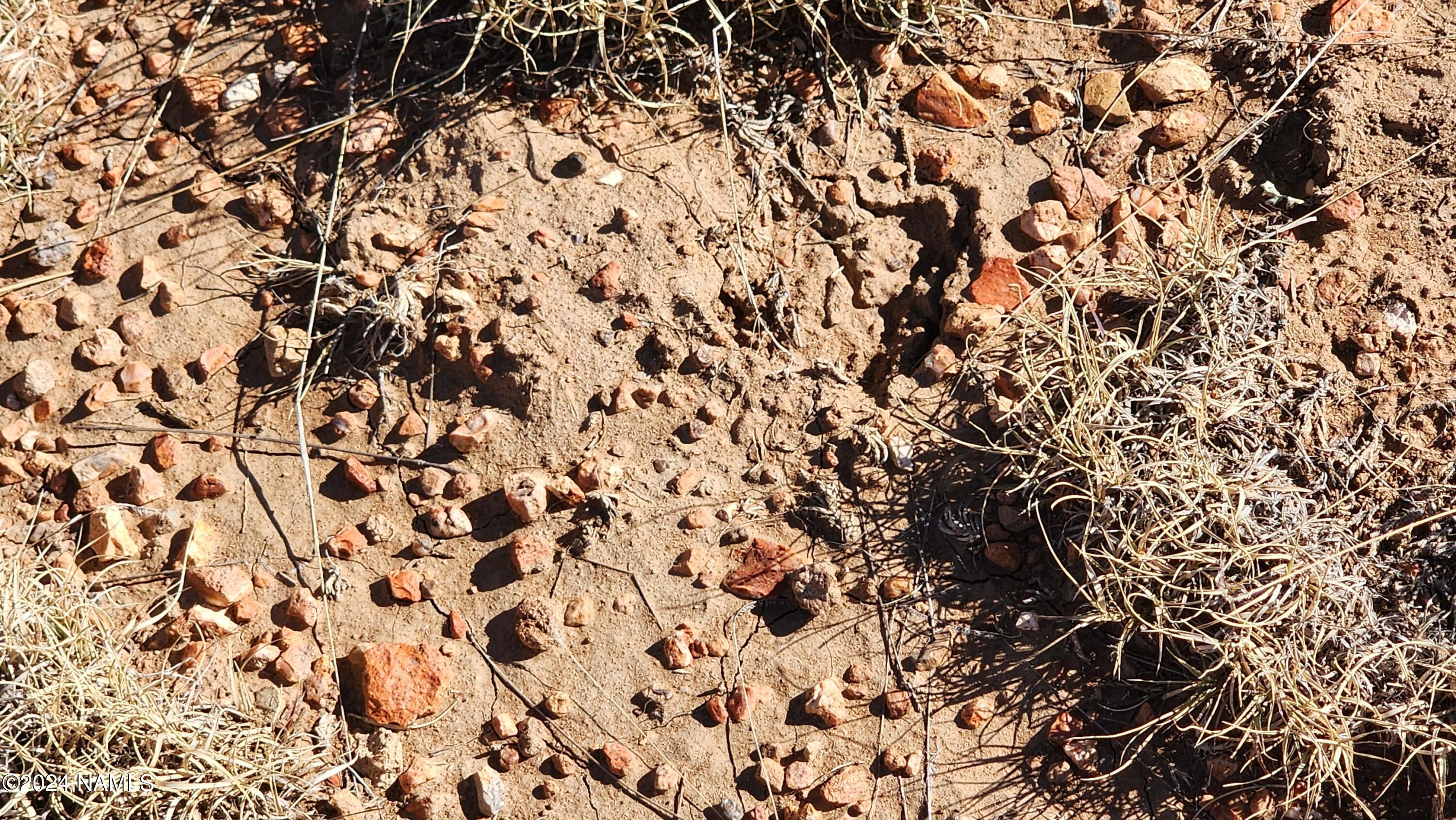 3433 Red Butte Road Williams, AZ 86046 - Photo 3 of 22 1000022459