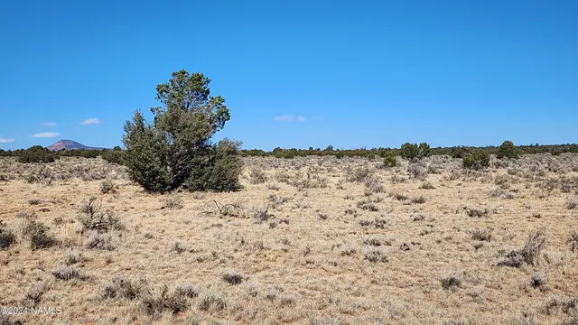 $35,000 | 3433 Red Butte Road, Williams, AZ 86046