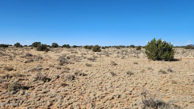 $35,000 | 3433 Red Butte Road, Williams, AZ 86046