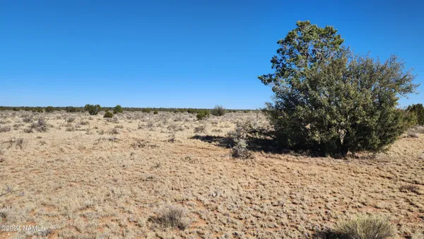 $35,000 | 3433 Red Butte Road, Williams, AZ 86046