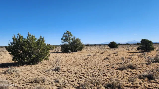 $35,000 | 3433 Red Butte Road, Williams, AZ 86046