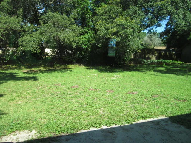 a backyard of a house with lots of green space