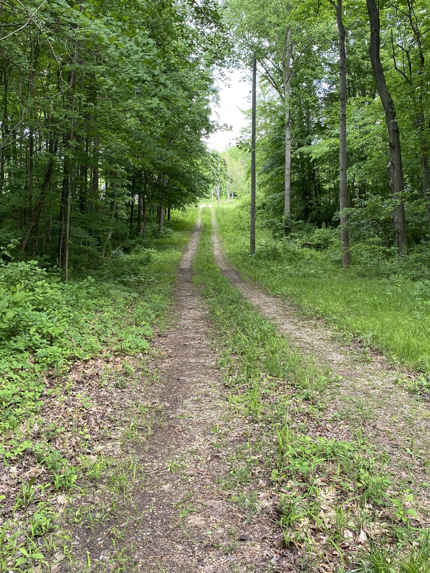 5747 Madison Coloma, MI 49038 - Photo 1 of 4 IMG-9161