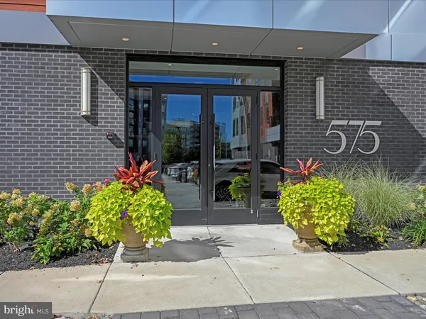 a potted plant is sitting in front of a door