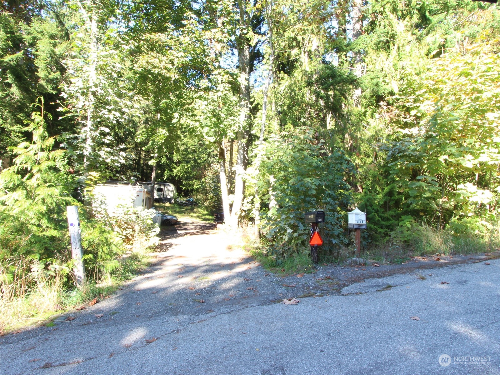 6426 Santa Fe Trail Maple Falls, WA 98266 - Photo 1 of 15 a street view with large trees