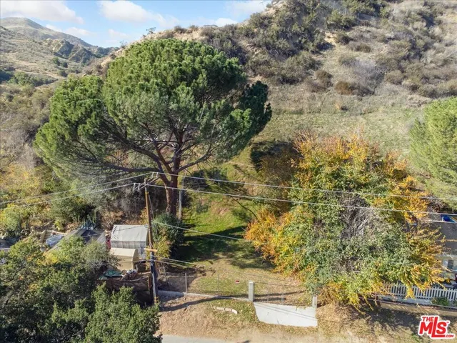 a backyard of a building with large trees