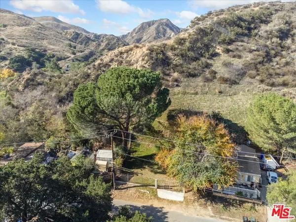 a view of a yard