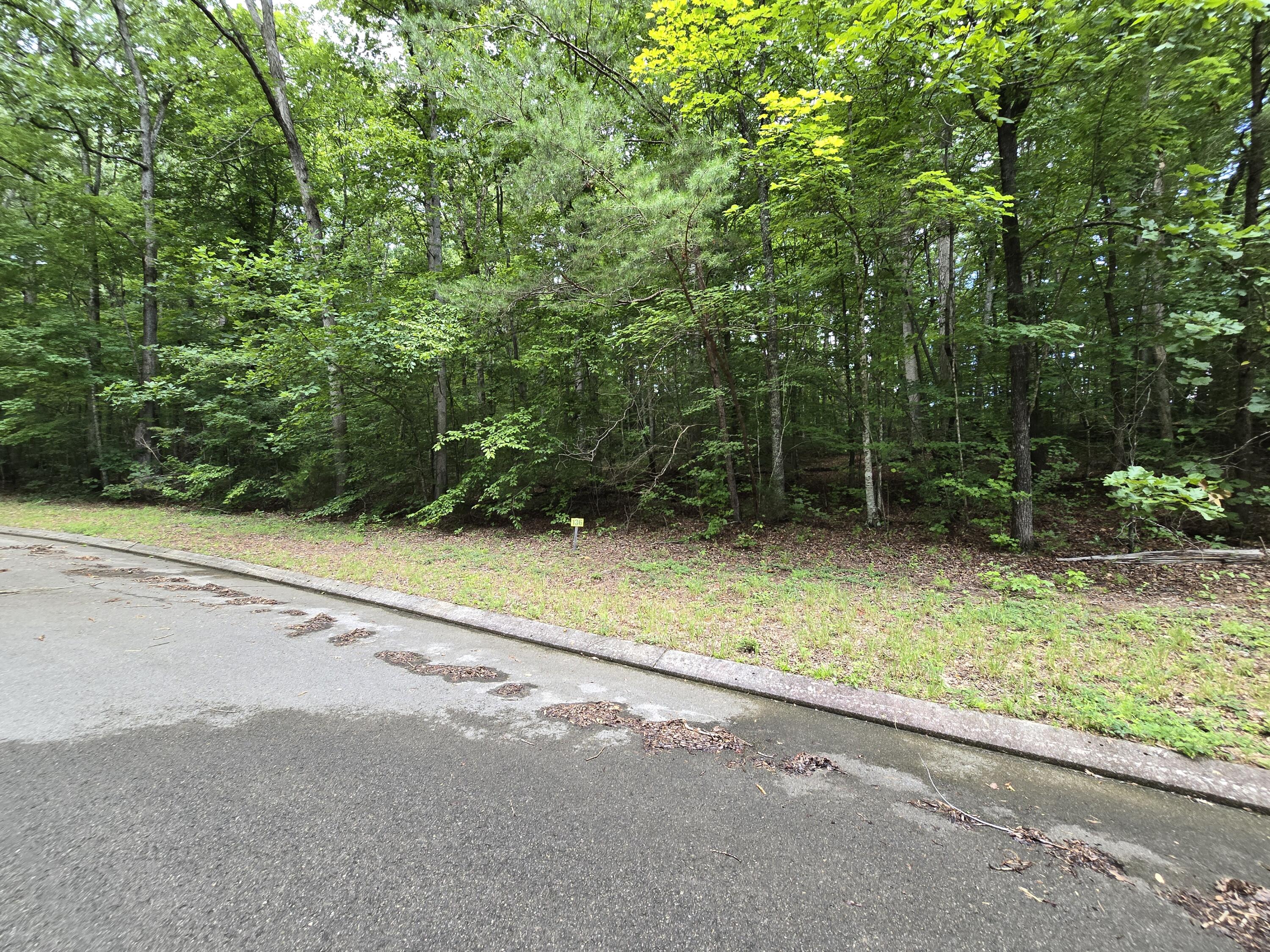 Lot 136 Lower Brow Road Dunlap, TN 37327 - Photo 1 of 8 20260716_154141