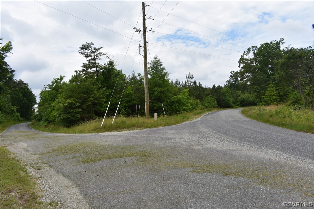 0 Southeast Lilly Pond Road Center Cross, VA 22437 - Photo 2 of 10 View of road