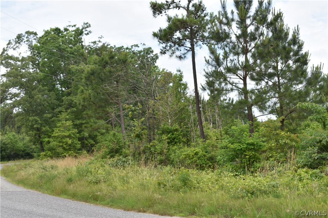 0 Southeast Lilly Pond Road Center Cross, VA 22437 - Photo 3 of 10 View of nature