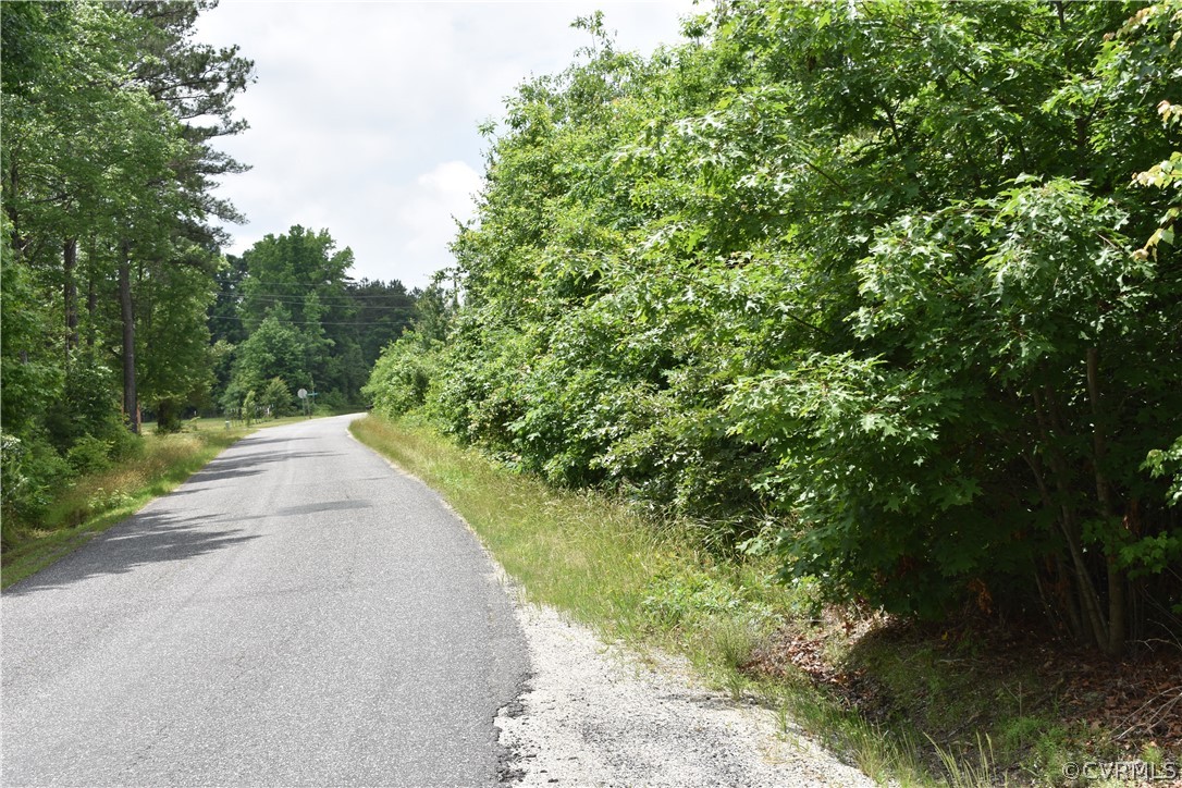 0 Southeast Lilly Pond Road Center Cross, VA 22437 - Photo 10 of 10 View of road