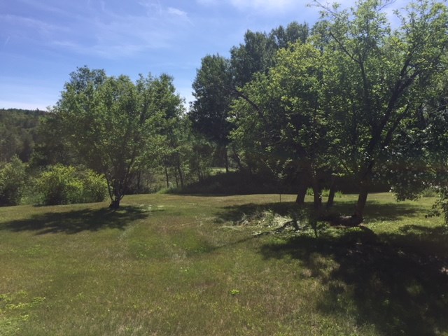 13 Riddle Hill Road Grafton, NH 03240 - Photo 22 of 30 Gallery Image 22