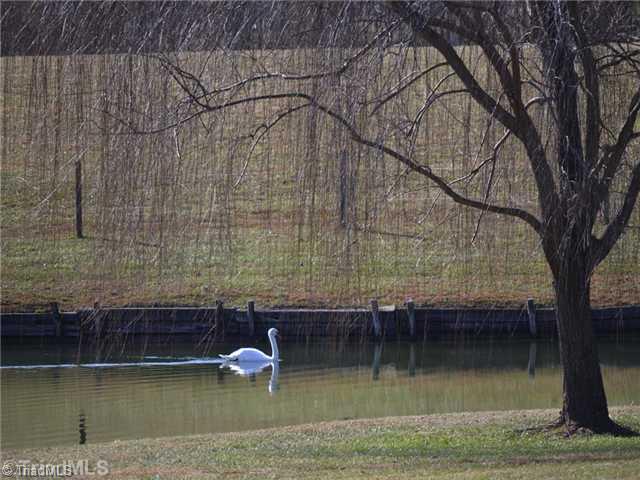 1497 Greenfield Road Walnut Cove, NC 27052 - Photo 15 of 15 View.