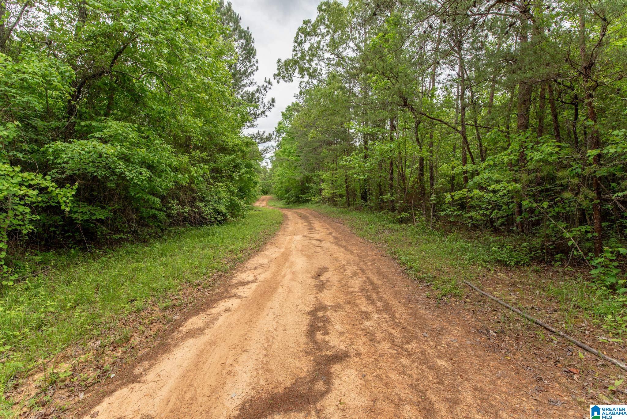 12680 Groundhog Road, Unit 1 Adger, AL 35006 - Photo 19 of 28