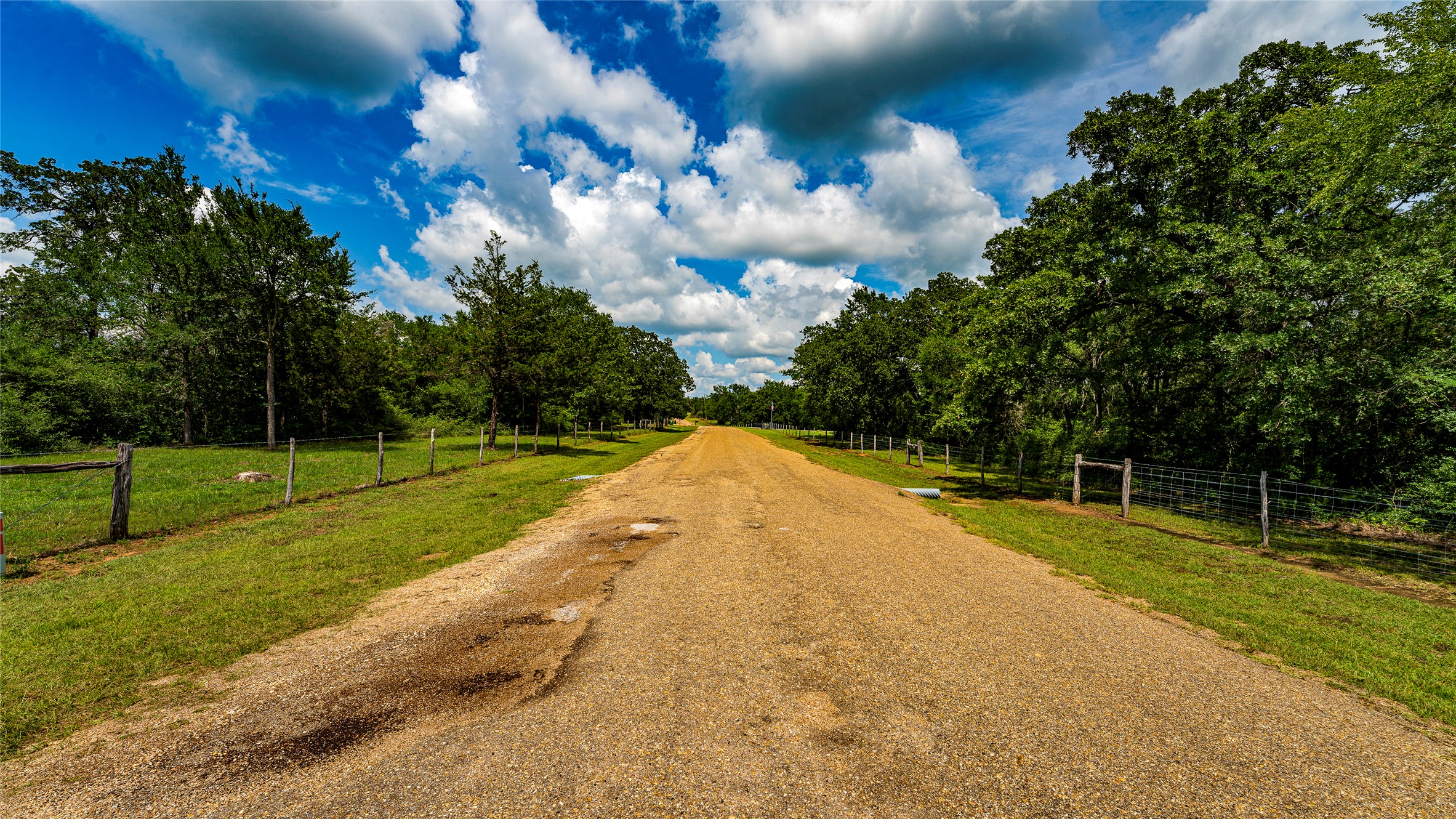 1470 22 Hills Road Gause, TX 77857 - Photo 28 of 35 A long, private gravel driveway winds through lush greenery and mature trees under a vast sky.