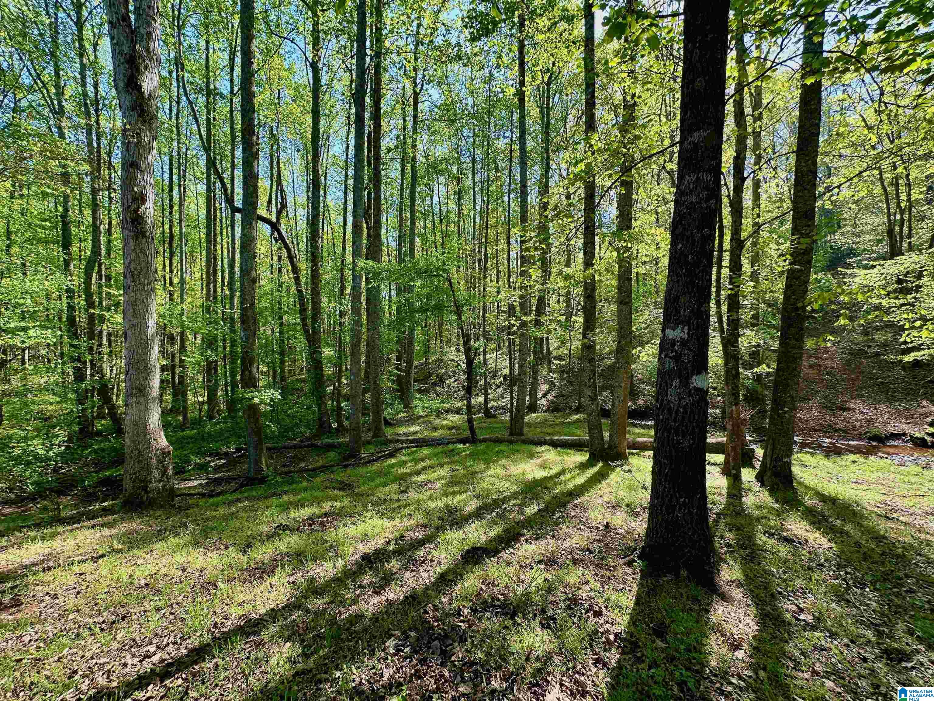 130 Kelly Road Ashland, AL 36251 - Photo 63 of 66