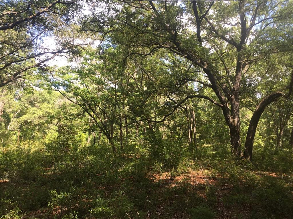 10851 Northeast 110th Ave