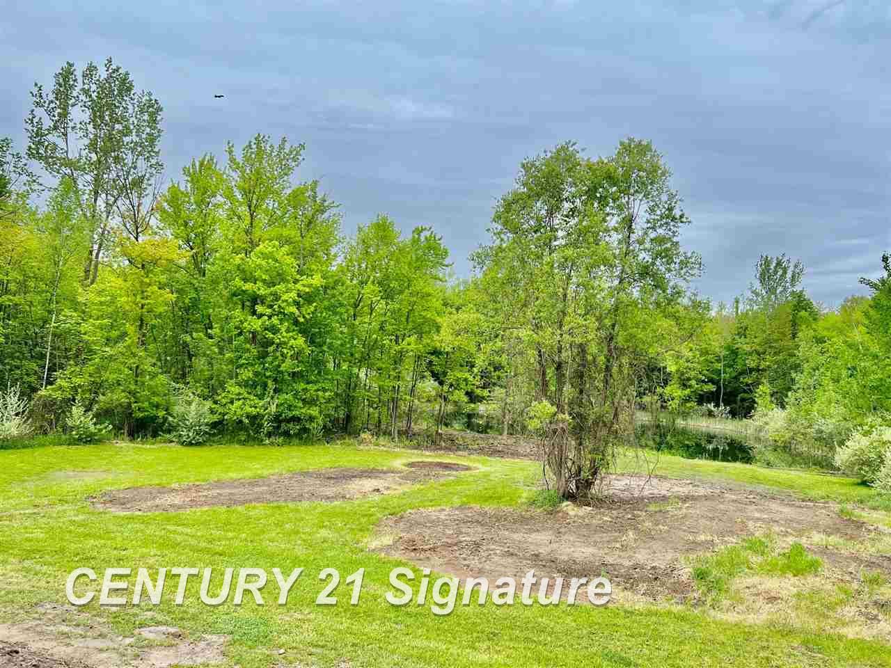 11645 East Parks Road Wheeler, MI 48662 - Photo 42 of 45