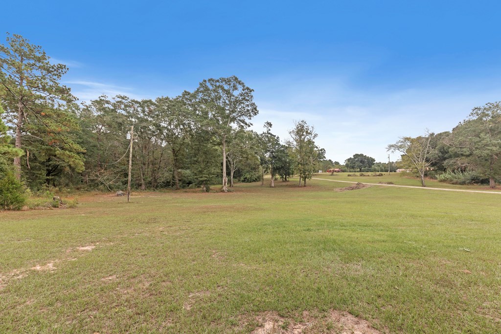 335 Green Valley Road Dothan, AL 36305 - Photo 5 of 31