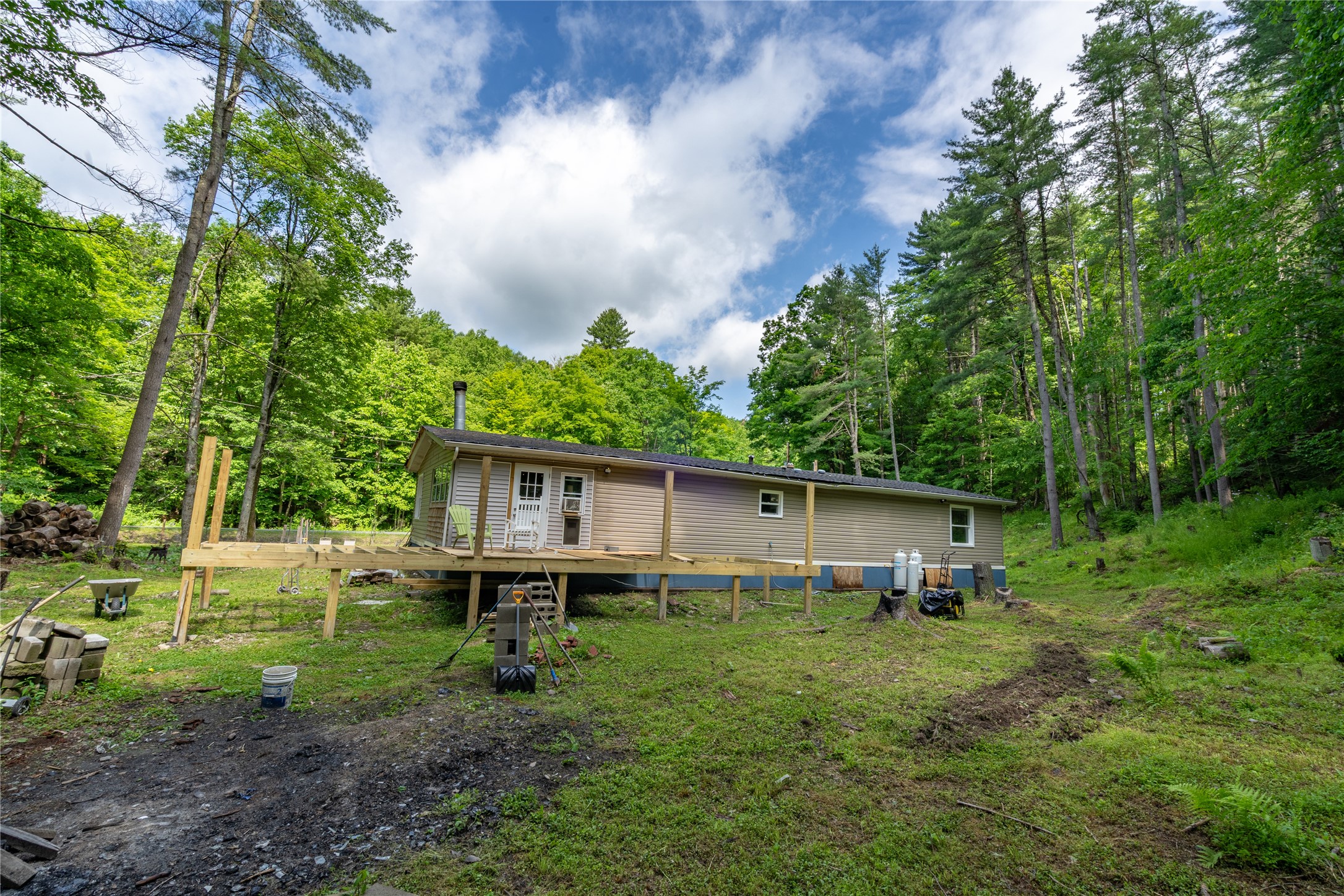 49 Ocoski Road Candor, NY 13743 - Photo 22 of 24