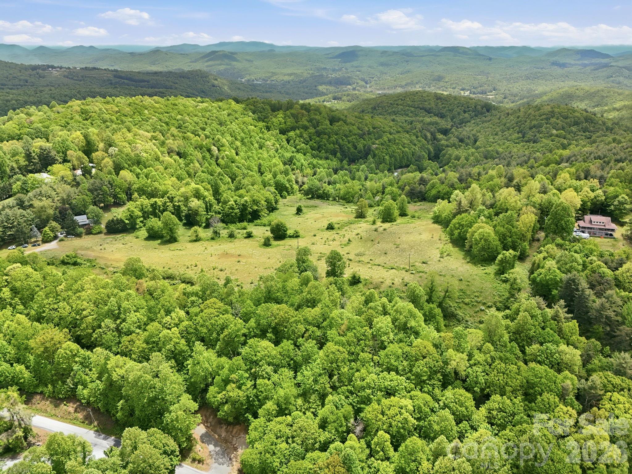 4105 Pinnacle Mountain Road Zirconia, NC 28790 - Photo 18 of 23 a view of a big yard with lots of green space