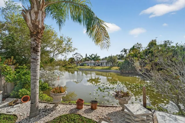 a view of a lake with a palm tree and a big yard