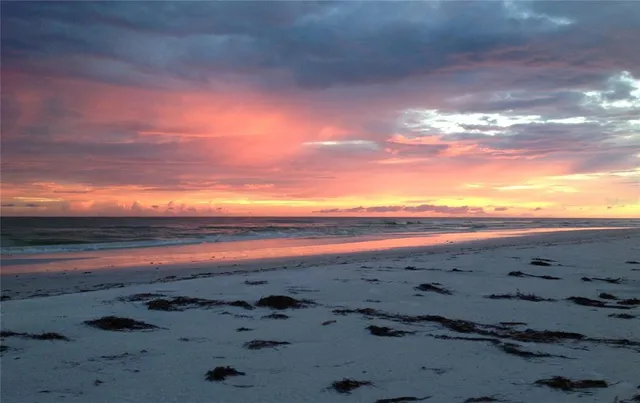 a view of beach and ocean