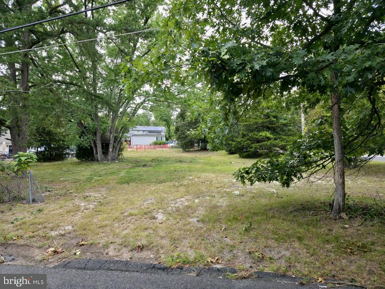 32 Kirk Lane Pine Hill, NJ 08021 - Photo 3 of 7 a view of a trees with a house