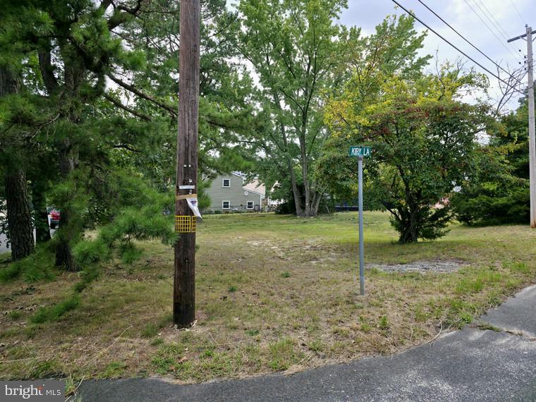 32 Kirk Lane Pine Hill, NJ 08021 - Photo 5 of 7 a view of a tree in a yard