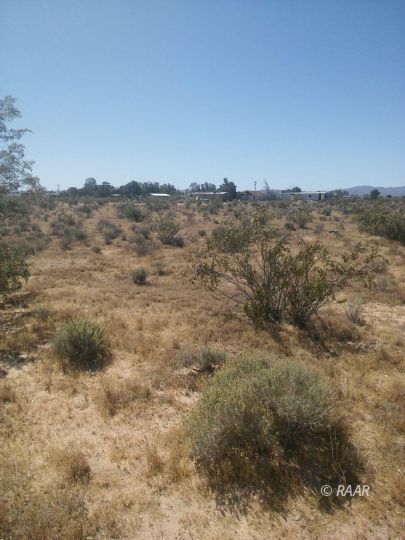 West Ward Ridgecrest, CA 93555 - Photo 4 of 8