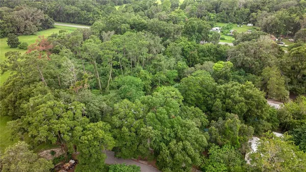a view of a forest with a small yard