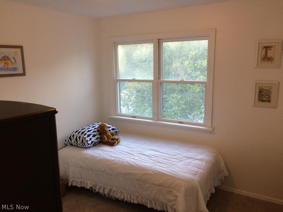 1148 Winston Road Cleveland, OH 44121 - Photo 17 of 27 third bedroom
