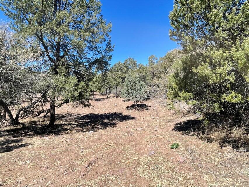 175 Hop Canyon Road Magdalena, NM 87825 - Photo 41 of 55 Gallery Image 41