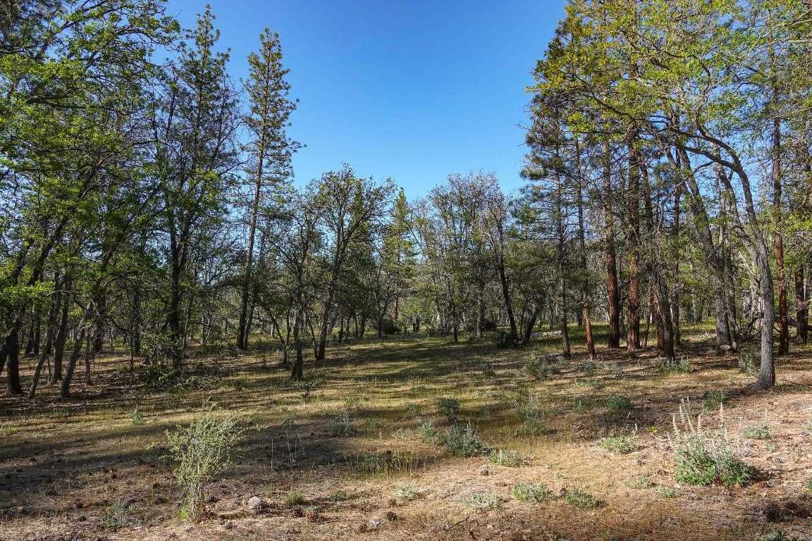 0 East Road Fort Jones, CA 96032 - Photo 17 of 35 Gallery Image 17