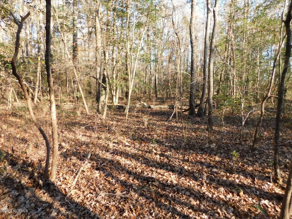26.89 Bynum Farm Road Pinetops, NC 27864 - Photo 26 of 43 26 (1024x768)