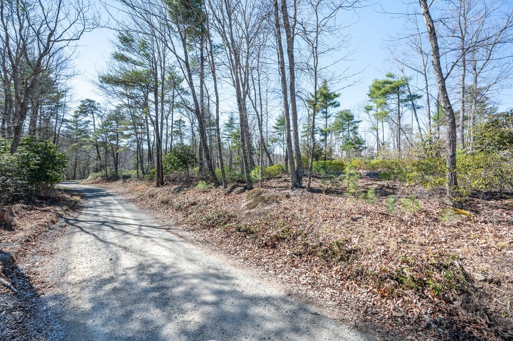 3014 Pine Mountain Road Independence, VA 24348 - Photo 39 of 50 Gallery Image 39