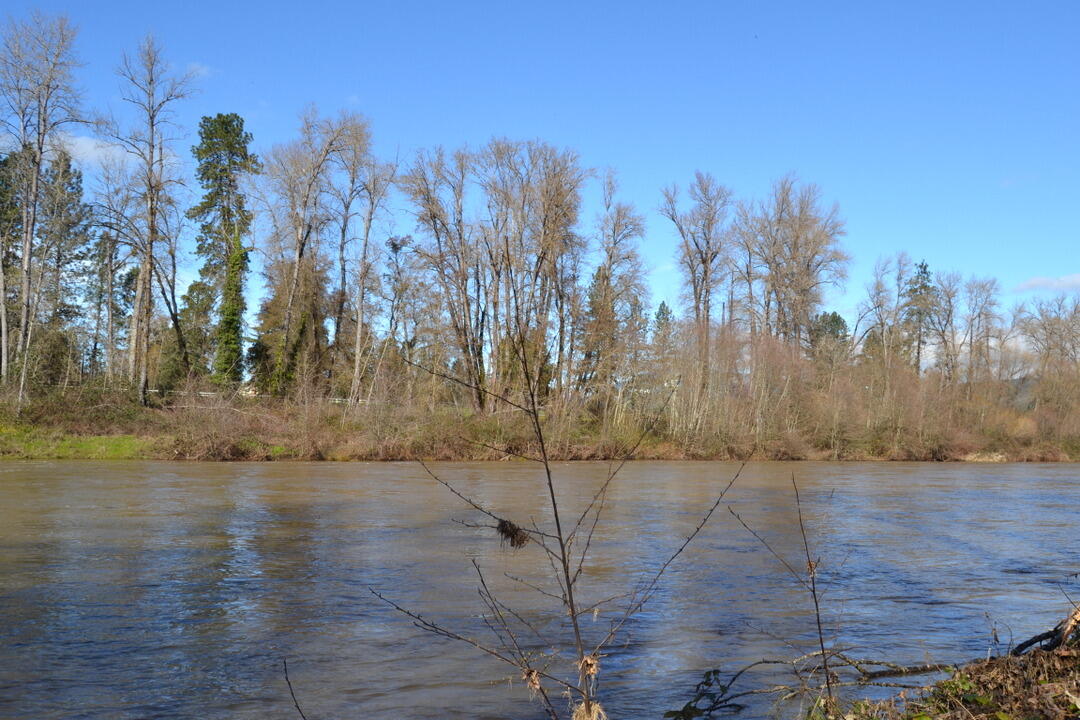 Lot 3 Gerald Place Grants Pass, OR 97527 - Photo 11 of 14 Common Area- River